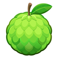 Illustration of green soursop fruit annona muricata tropical fruit with leaf and stem vector art