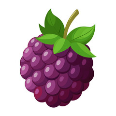 Illustration of blackberry fruit fresh blackberry blackberry fruit blackberry healthy blackberry food