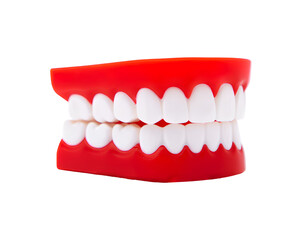 Red plastic teeth model isolated on transparent background