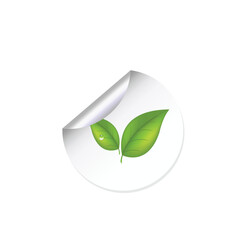 This elegant black and white floral design is ideal for decorative borders, logos, or vintage-inspired graphic designs, featuring intricate detailing and curved leaves