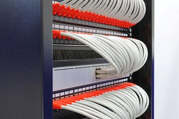 Ethernet switches connected to patch panels using CAT-6 patchcords with Rj45 connectors. 