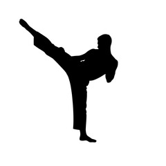 Silhouette of a man performing a high kick without background  