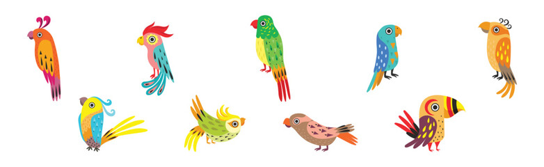 Funny Tropical Parrot with Bright Feathered Wings Vector Set