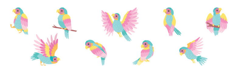 Funny Tropical Parrot with Bright Feathered Wings Vector Set © topvectors