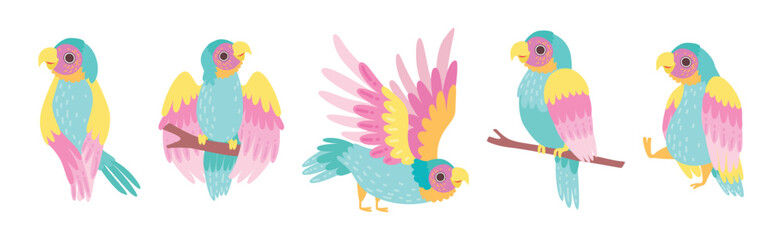 Funny Tropical Parrot with Bright Feathered Wings Vector Set