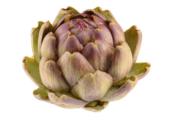 Obraz premium Artichoke Vegetable