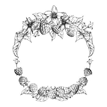 Raspberry ripe garden berries flower buds leaves wreath, hand drawn in vector ink. Dewberry cloudberry mulberry loganberry tayberry. Isolated circle frame illustration. Wedding stationery florist shop