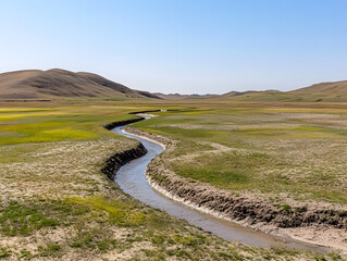 Dried delta landscape with winding dry channels and sparse green grass under clear blue sky, surrounded by gentle brown hills in vast open area