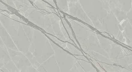 Elegant Grey Marble Texture with Prominent Veins for Modern Wall and Floor Design