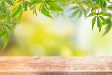 A sunlit wooden table beneath vibrant green leaves and a soft blurred background evokes the...