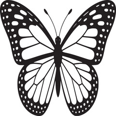 Illustration of a butterfly with detailed wing patterns in black and white on a white background