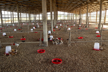 Farm in Djidje, Benin. Chicken coop