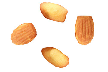 madeleine cookies isolated on transparent background.