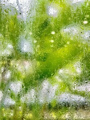 Blurred Rain drops on the glass of window in raining season with tropical green plants