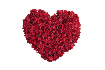 Red Rose Heart