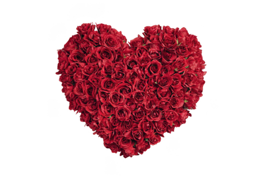 Red Rose Heart