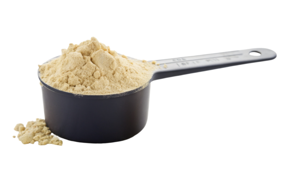 Protein powder scoop whey casein pea soy isolate supplement nutrition fitness bodybuilding health diet food