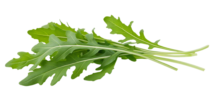 Fresh arugula leaves isolated on white background for healthy eating and salad ingredient concept use