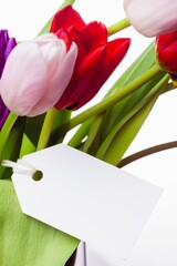 Tulip bouquet is showing in flat design, white backdrop, gift tag tied to stem, copy space