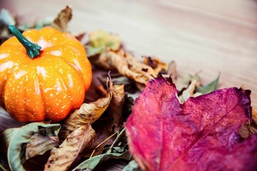 High angle view of pumpkins surrounded by leaves on table