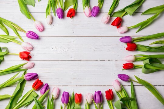 Fototapeta Flat design multicolored tulip flower ring with leaves is being shown on white plank, copy space