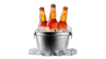 Iced Beer Bottles in Metal Bucket Cool Refreshing Drinks,