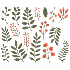 Painted leaves flowers branches set vector isolated white background