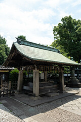 Santuario Ueno Toshogu in Giappone
