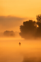 Man Fly Fishing in a Misty River Landscape at Golden Sunrise