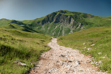 Hikers walking on rocky path towards majestic mountain peak