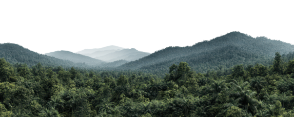 panorama of the mountains with many trees, rainforest isolated on white or transparent png