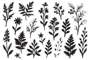 Naklejka premium silhouette botanical illustration with various detailed plant shapes, flowers, and leaves, ideal for nature themed designs