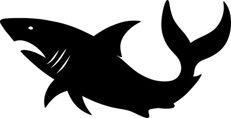 black and white shark illustration