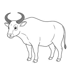 Gaur – Bos gaurus. A detailed sketch of a yak featuring large curved horns and thick fur. The black-and-white illustration captures the animal's rugged nature, suitable for wildlife and nature themes.