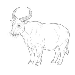 Gaur – Bos gaurus. A detailed sketch of a yak featuring large curved horns and thick fur. The black-and-white illustration captures the animal's rugged nature, suitable for wildlife and nature themes.