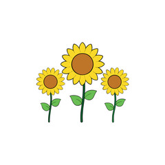 Three Cheerful Sunflowers Bright Floral Vector Illustration for Summer Theme