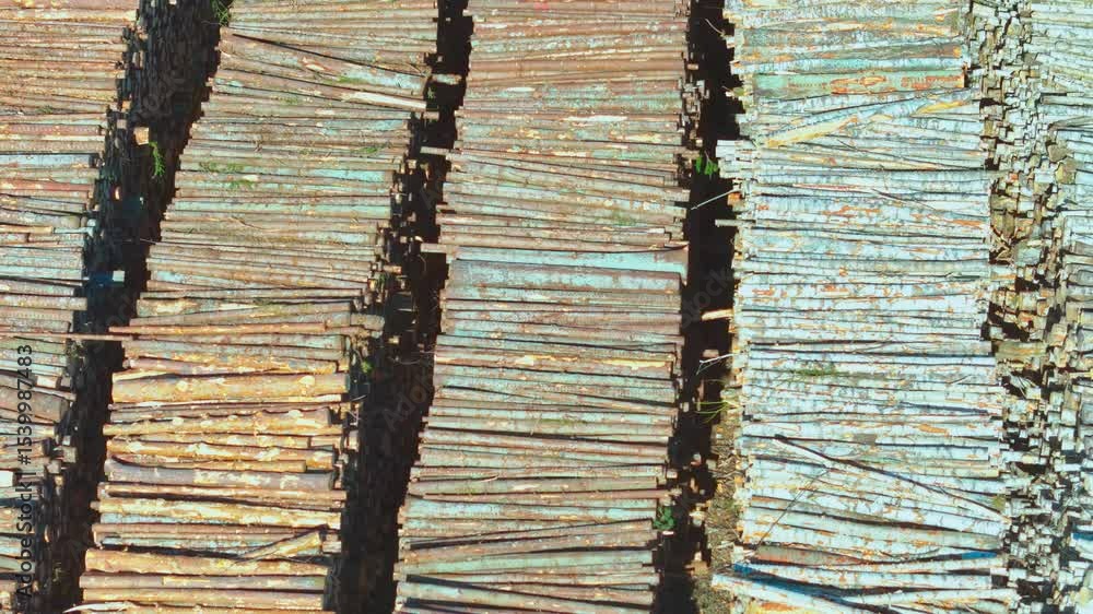 Poster organized piles of weathered timber logs lie in long, parallel rows at a lumberyard, captured from a