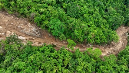 Drone view of a hillside with a recent landslide strip exposing bare soil and rock amidst thick forest, emphasizing the natural disaster’s effect on terrain stability and vegetation loss. Thailand.
