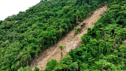 Bird’s eye drone shot capturing a large landslide scar through lush forest, illustrating the...