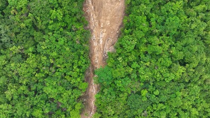 Drone aerial view of a landslide cutting through forest, illustrating how climate change...