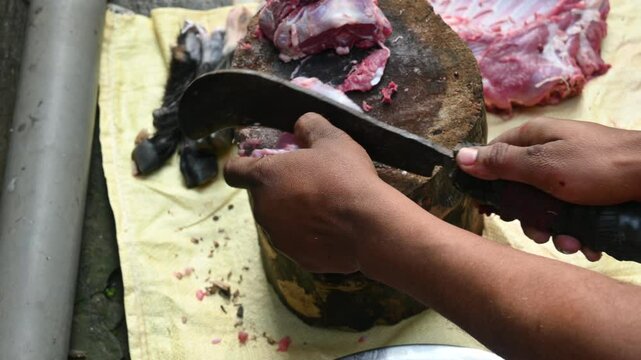 Chopping goat meat. Fresh raw or uncooked goats mutton cutting from Traditional iron tool in Indian village life. chopping goat meat into small pieces.
