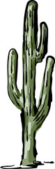 Desert  Cactus  hand drawn  tropical illustration Element