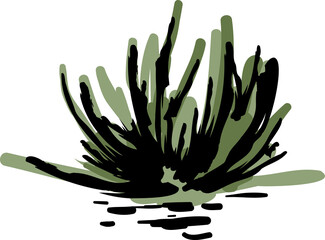 Desert  Cactus  hand drawn  tropical illustration Element
