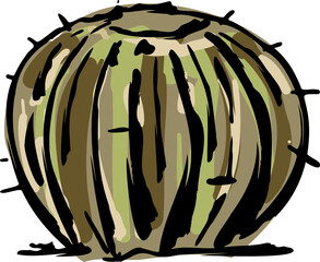 Desert  Cactus  hand drawn  tropical illustration Element