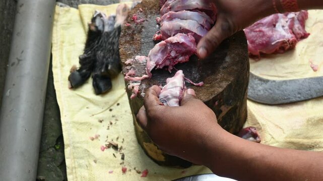 Chopping goat meat. Fresh raw or uncooked goats mutton cutting from Traditional iron tool in Indian village life. chopping goat meat into small pieces.
