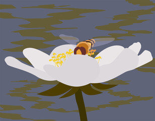 Bright flower with bee. Flower in flat design style.