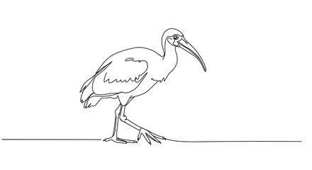 Naklejka premium Single line drawing of a walking ibis bird.