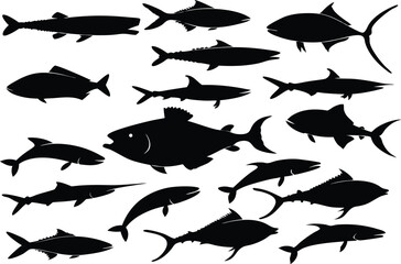 Tuna Fish Clipart and T Shirt Design. Bold Tuna Fish Graphic for Apparel and Prints. Tuna Fish Art Illustration for Merchandise. Editable Tuna Fish Clipart for T Shirt Designs. Tuna Fish Silhouette