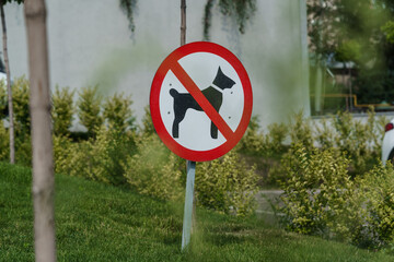 Close-up of a "No Dogs Allowed" sign in a modern urban park. The sign features a black dog silhouette crossed out with a red circle on a white background, surrounded by green grass and blooming flower