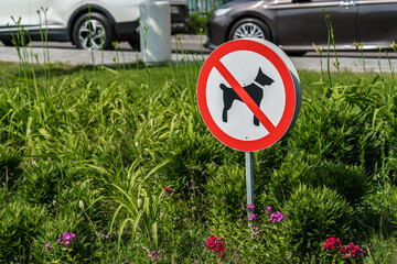 Close-up of a "No Dogs Allowed" sign in a modern urban park. The sign features a black dog silhouette crossed out with a red circle on a white background, surrounded by green grass and blooming flower